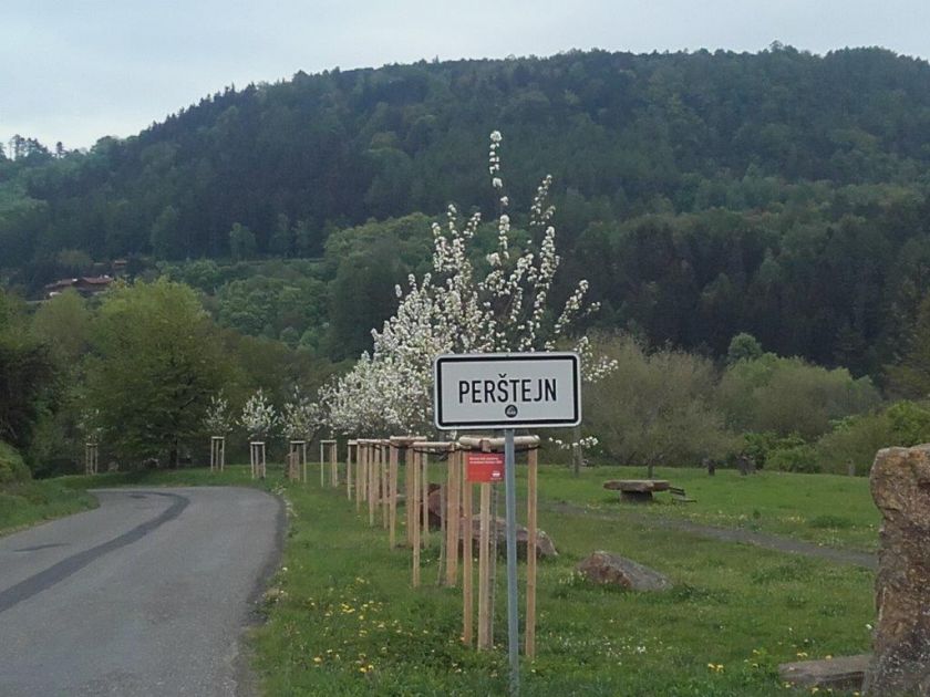 stromy Karlovarská ulice