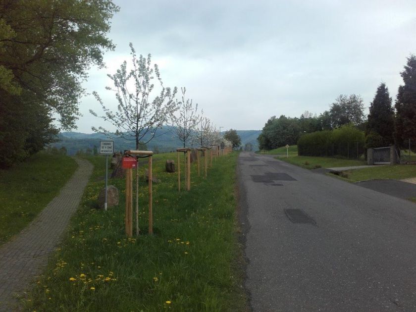stromy Karlovarská ulice